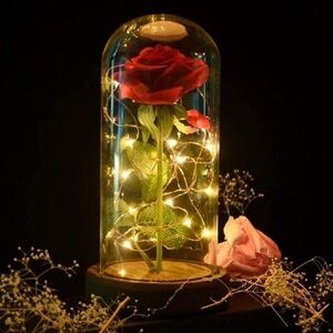 Princess Rose Dome. Red light up Rose